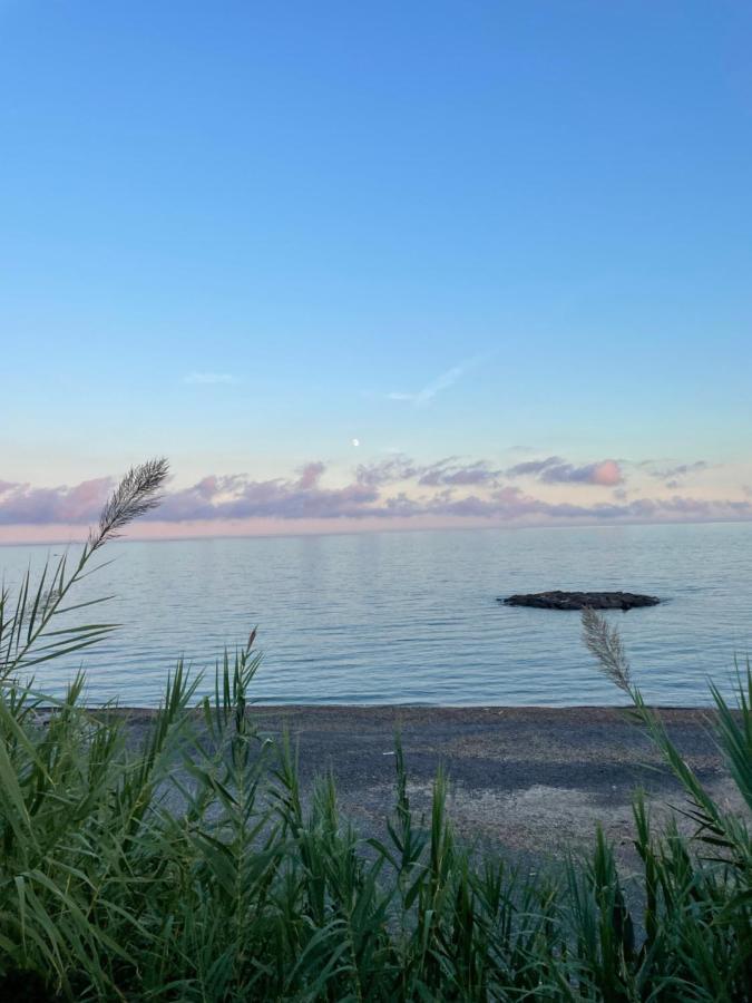 Casa Del Cardinale Daire Santo Stefano al Mare Dış mekan fotoğraf
