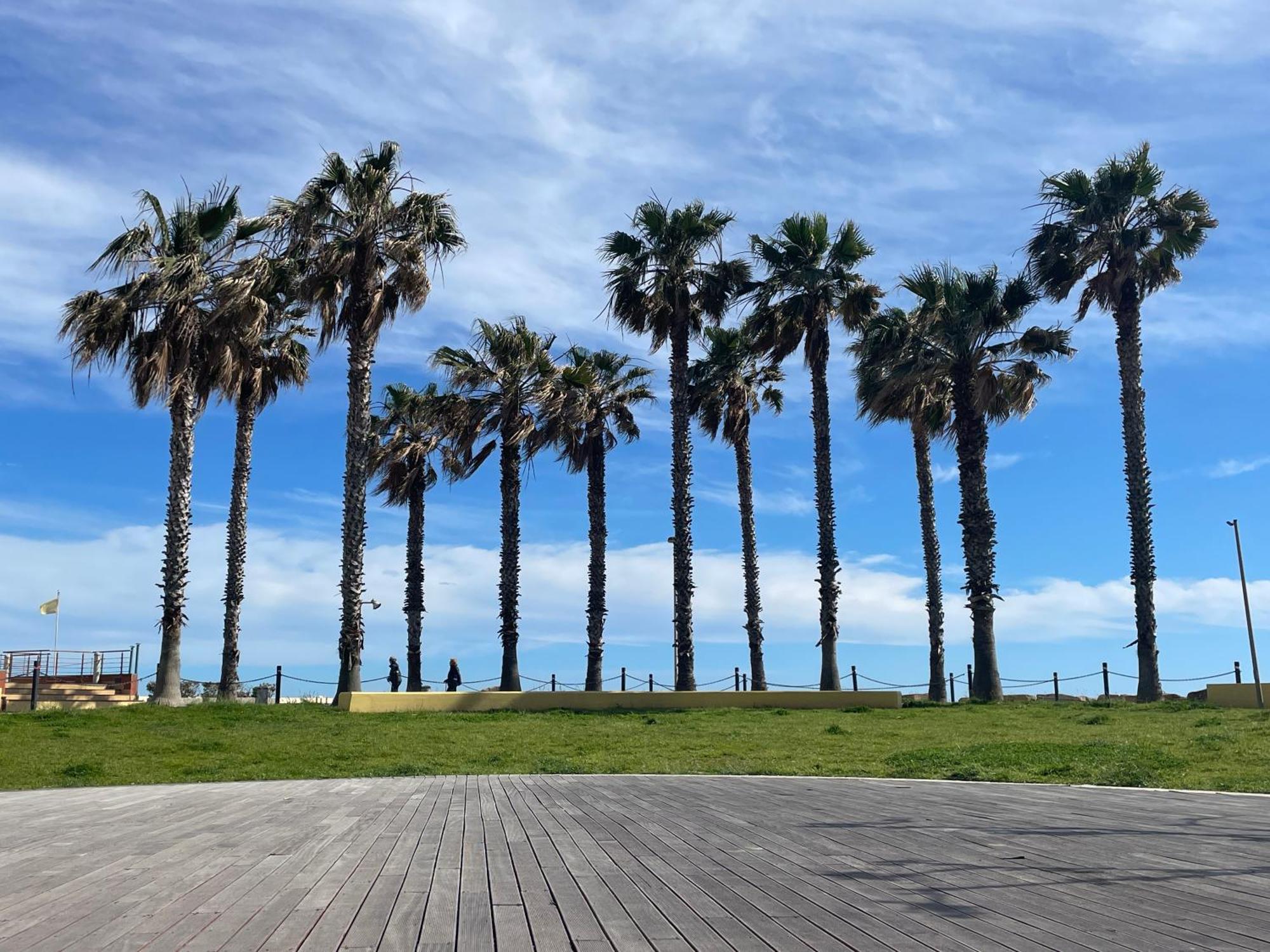 Casa Del Cardinale Daire Santo Stefano al Mare Dış mekan fotoğraf
